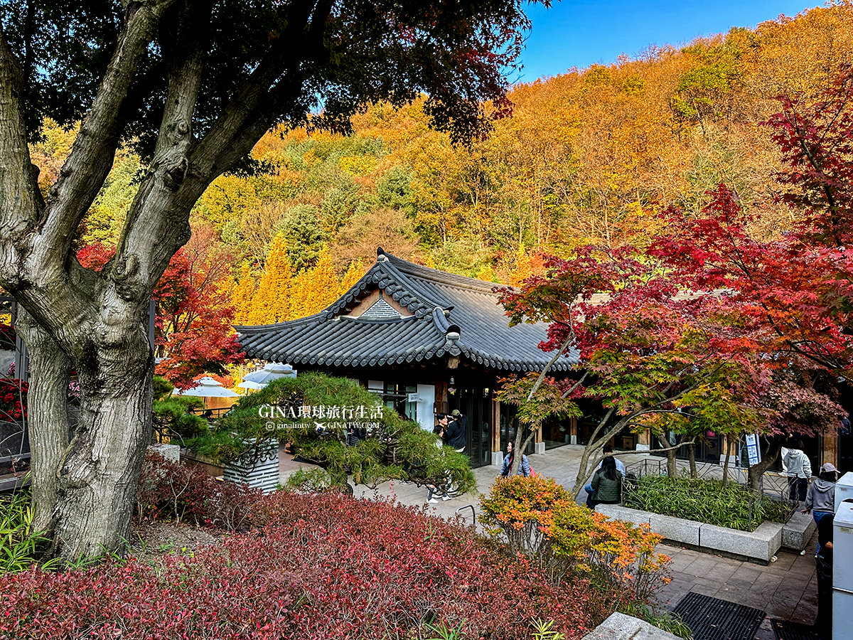 【和談林一日遊】和談林纜車預約2025 韓國賞楓必去景點 Hwadam Botanic Garden @GINA環球旅行生活 【和談林一日遊】和談林纜車預約2025 韓國賞楓必去景點 Hwadam Botanic Garden @GINA環球旅行生活