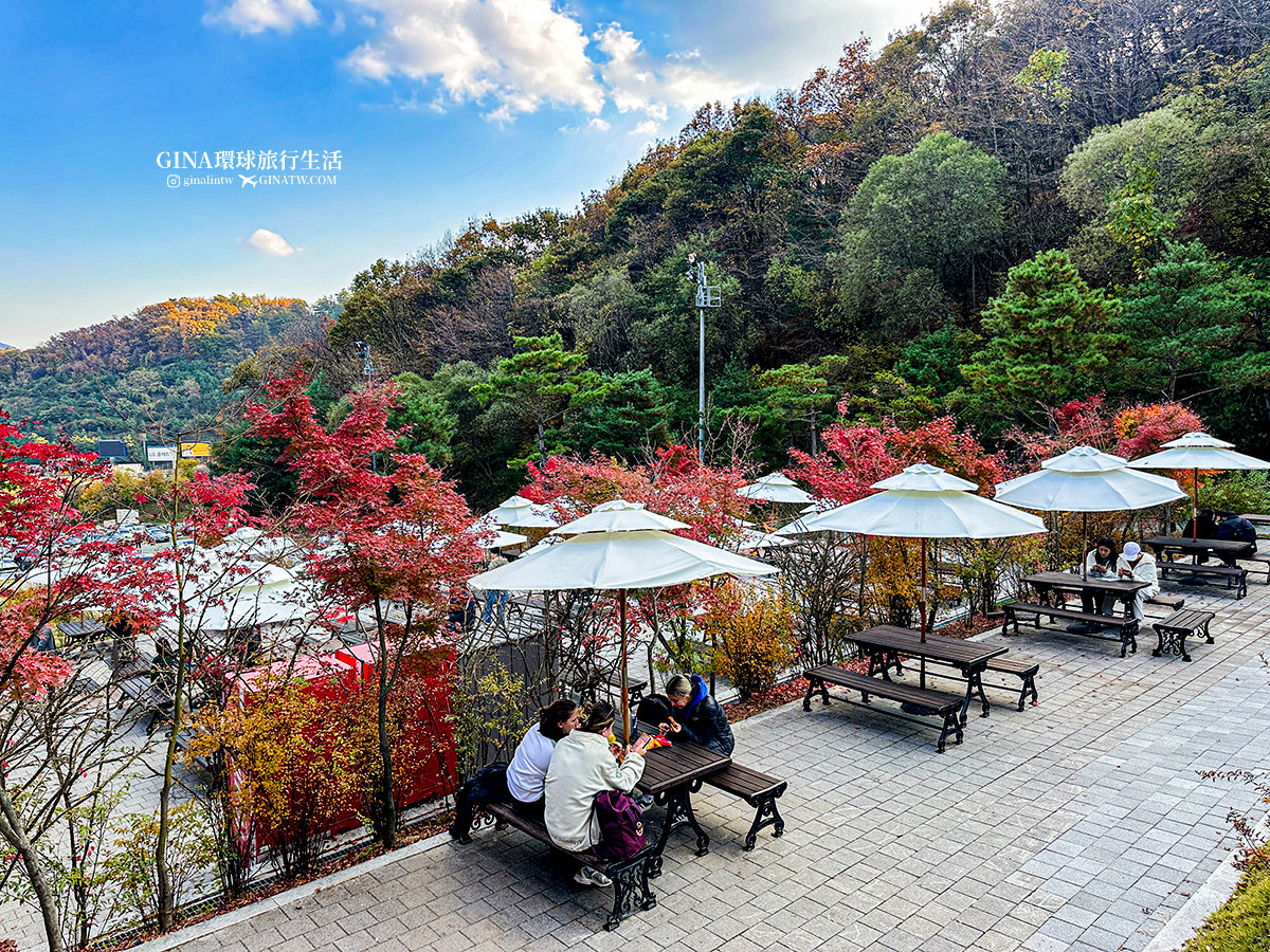 【和談林一日遊】和談林纜車預約2025 韓國賞楓必去景點 Hwadam Botanic Garden @GINA環球旅行生活 【和談林一日遊】和談林纜車預約2025 韓國賞楓必去景點 Hwadam Botanic Garden @GINA環球旅行生活