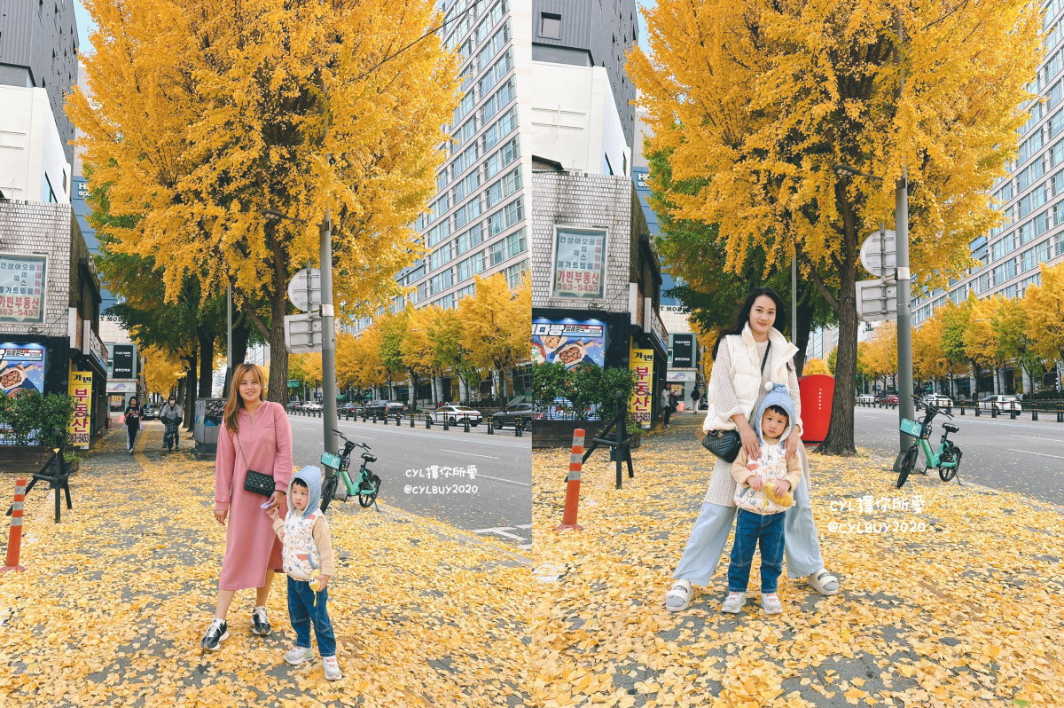 【韓國楓葉2025】韓國賞楓、韓國銀杏 楓葉時間預測、首爾釜山大邱賞楓景點、首爾釜山賞楓一日團 @GINA環球旅行生活