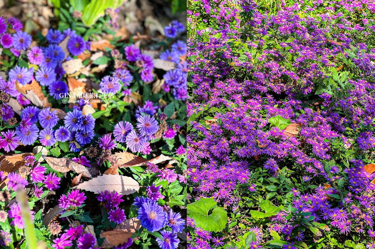 【和談林一日遊】和談林纜車預約2025 韓國賞楓必去景點 Hwadam Botanic Garden @GINA環球旅行生活 【和談林一日遊】和談林纜車預約2025 韓國賞楓必去景點 Hwadam Botanic Garden @GINA環球旅行生活