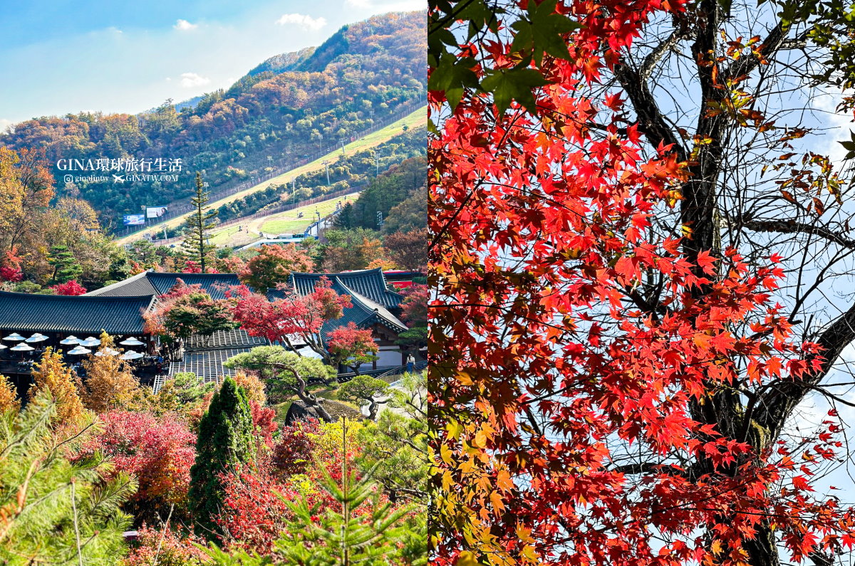 【和談林一日遊】和談林纜車預約2025 韓國賞楓必去景點 Hwadam Botanic Garden @GINA環球旅行生活 【和談林一日遊】和談林纜車預約2025 韓國賞楓必去景點 Hwadam Botanic Garden @GINA環球旅行生活