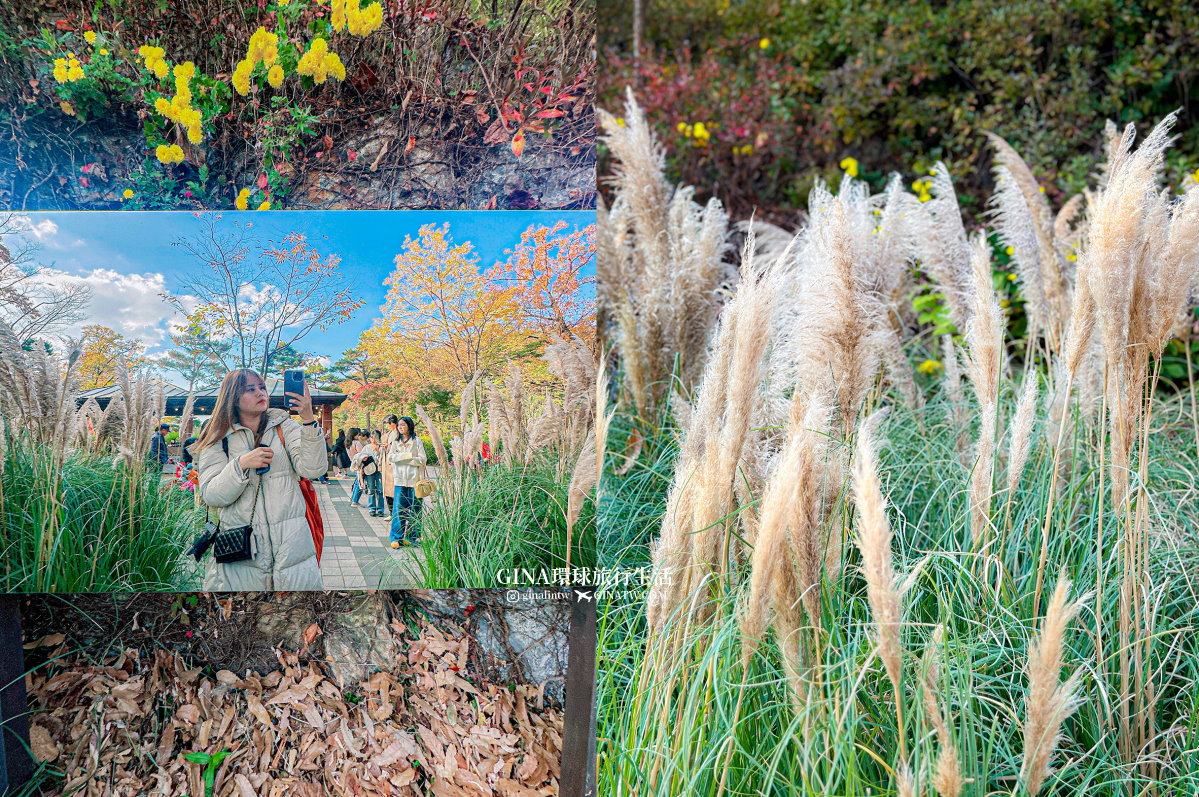 【和談林一日遊】和談林纜車預約2025 韓國賞楓必去景點 Hwadam Botanic Garden @GINA環球旅行生活 【和談林一日遊】和談林纜車預約2025 韓國賞楓必去景點 Hwadam Botanic Garden @GINA環球旅行生活