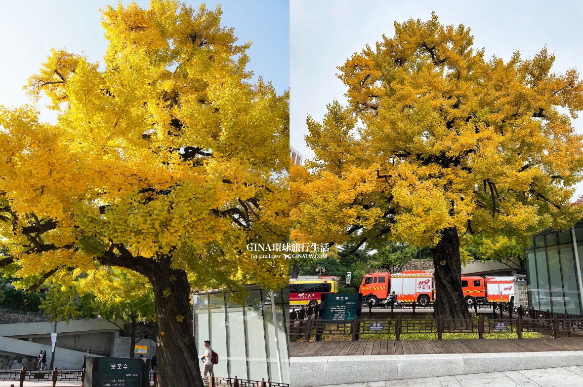 首爾秋天必訪！昌德宮秘苑預約2025 中文導覽門票、開放時間 @GINA環球旅行生活