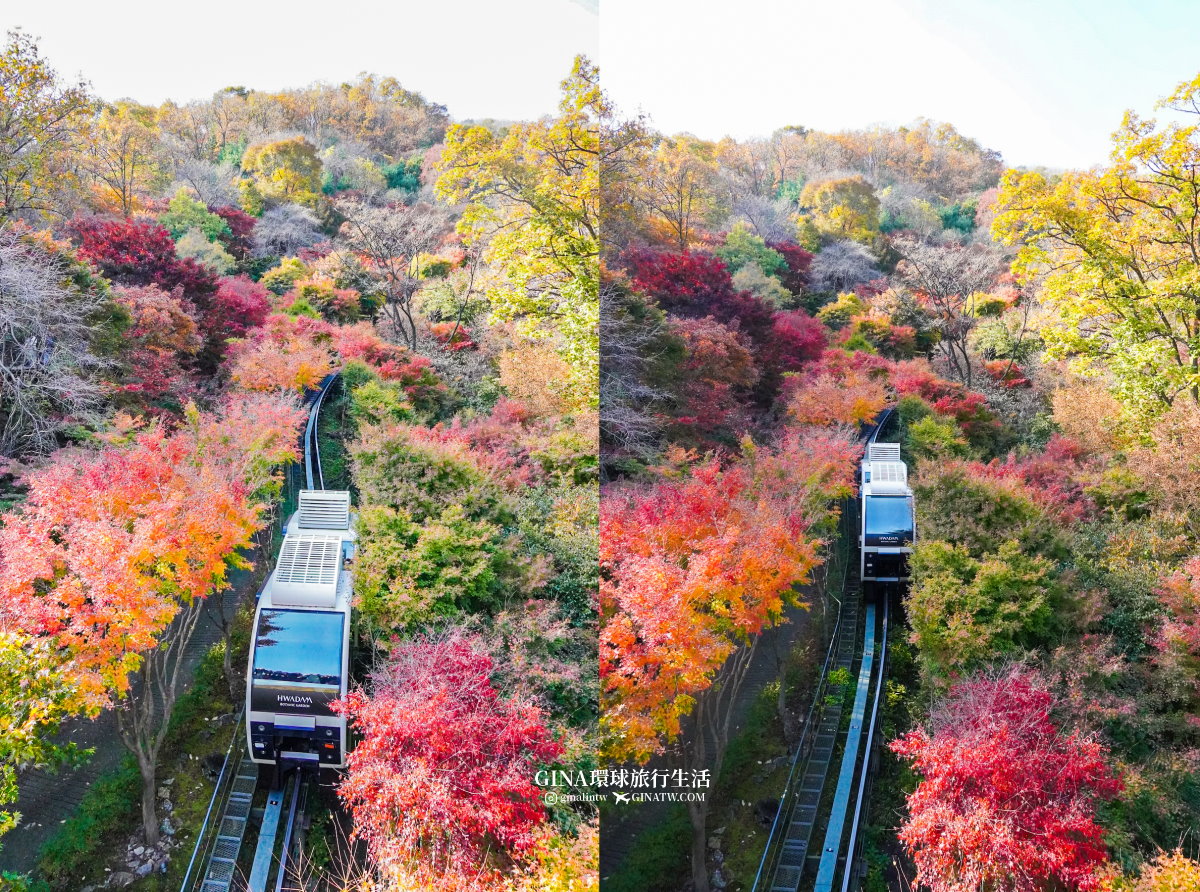 【和談林一日遊】和談林纜車預約2025 韓國賞楓必去景點 Hwadam Botanic Garden @GINA環球旅行生活 【和談林一日遊】和談林纜車預約2025 韓國賞楓必去景點 Hwadam Botanic Garden @GINA環球旅行生活