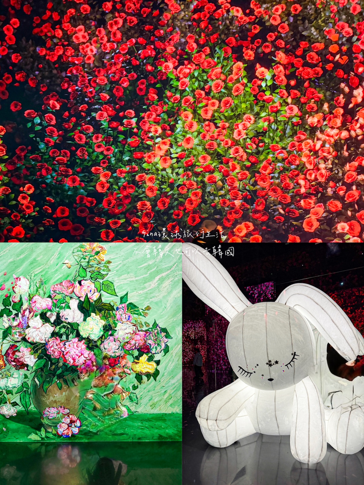 釜山通行證價格、免費景點 釜山PASS攻略2026版本 @GINA環球旅行生活