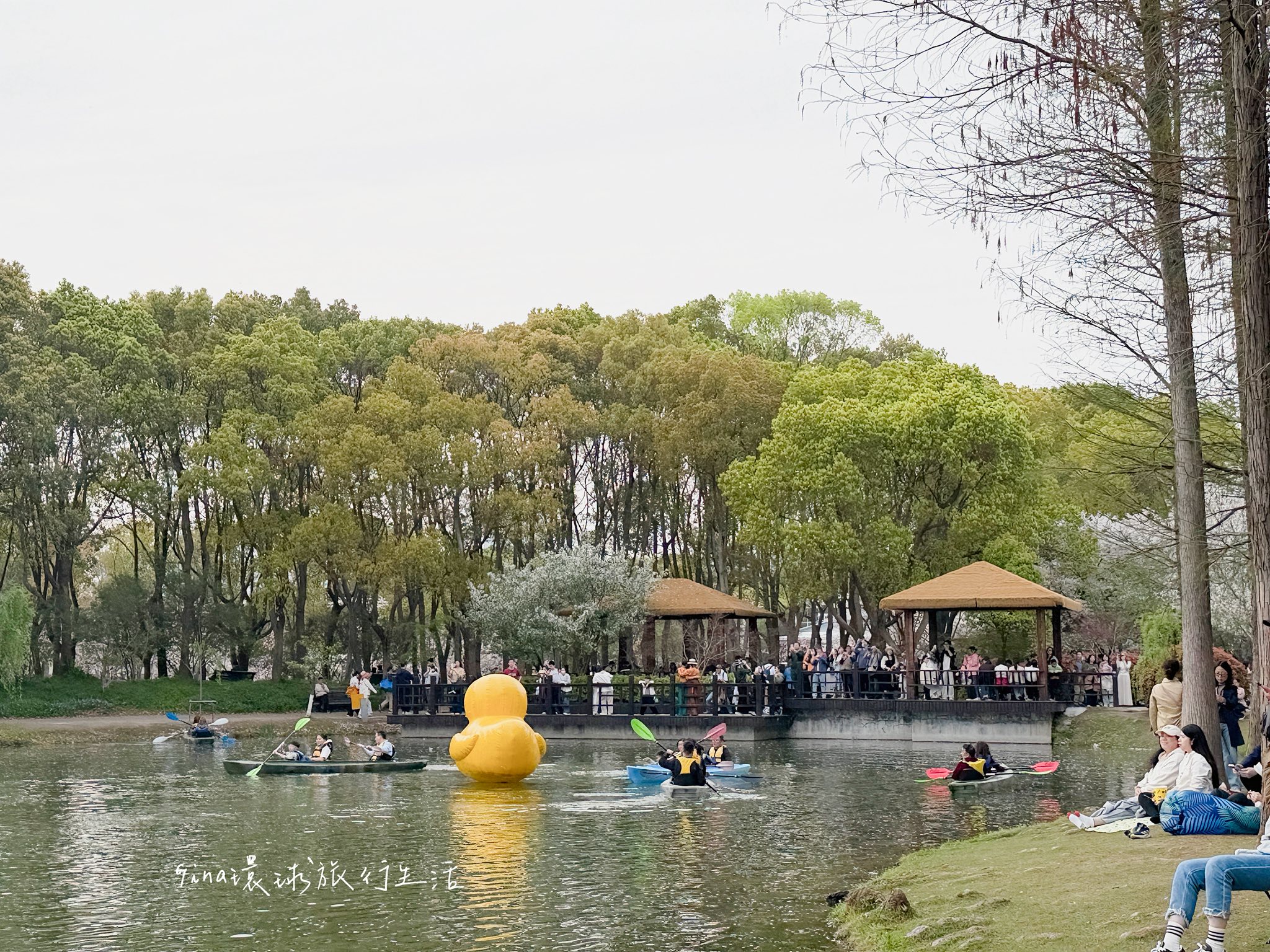 【上海自由行2026】上海 蘇州 烏鎮 旅遊景點攻略、上海迪士尼優惠門票 迪士尼十週年之旅、上海辦理自動通關教學 @GINA環球旅行生活