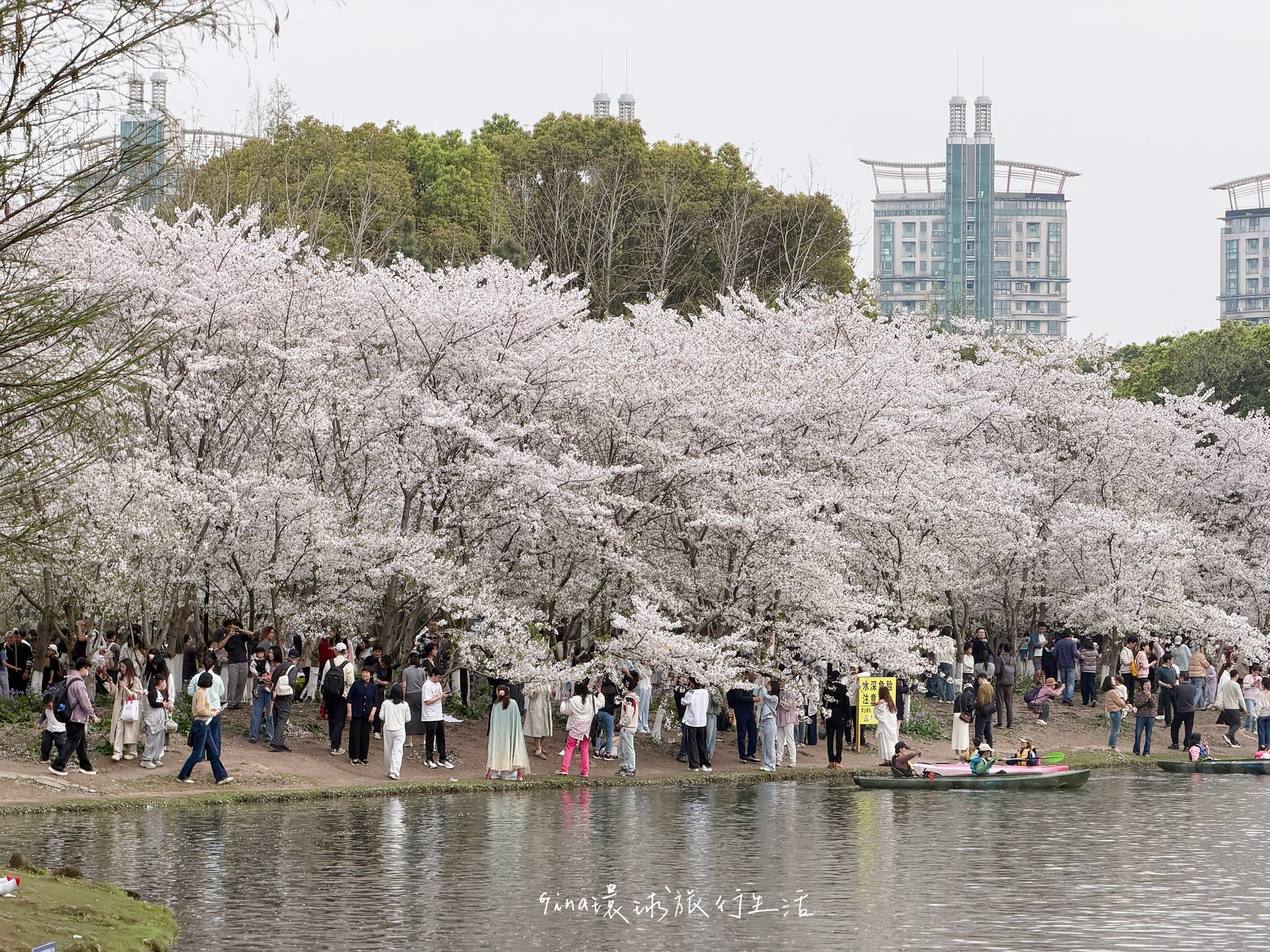 【上海自由行2026】上海 蘇州 烏鎮 旅遊景點攻略、上海迪士尼優惠門票 迪士尼十週年之旅、上海辦理自動通關教學 @GINA環球旅行生活