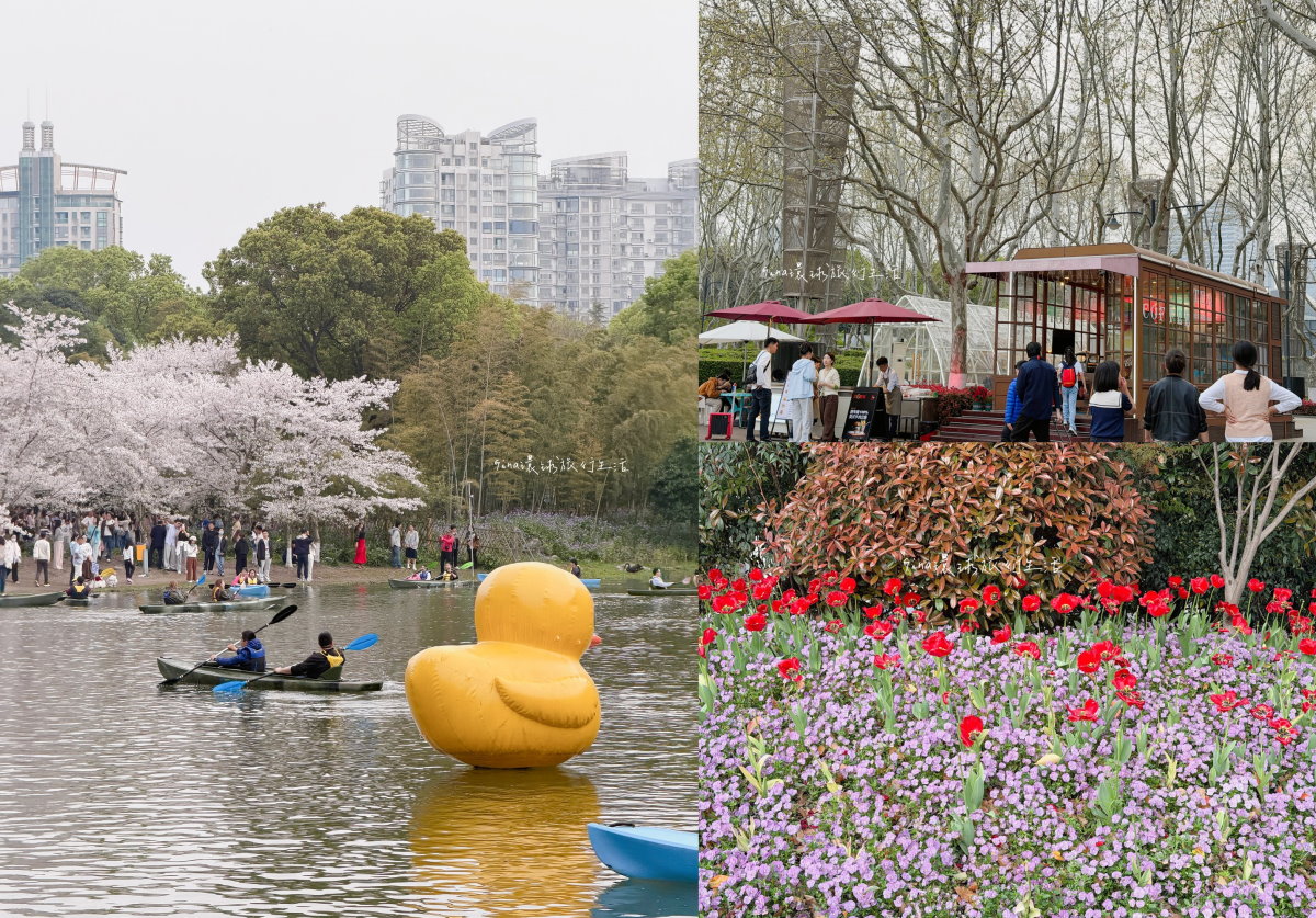 【上海自由行2026】上海 蘇州 烏鎮 旅遊景點攻略、上海迪士尼優惠門票 迪士尼十週年之旅、上海辦理自動通關教學 @GINA環球旅行生活