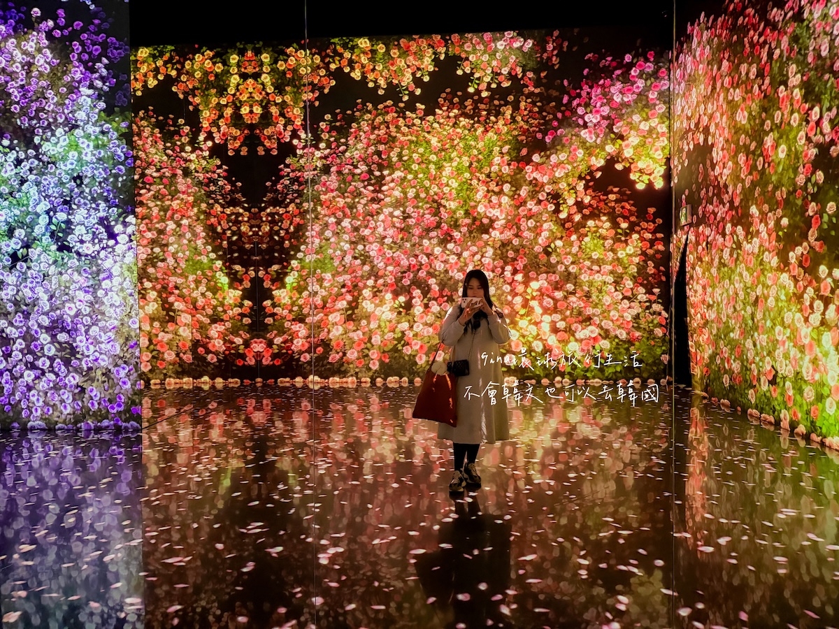 釜山沉浸式多媒體藝術館 Arte Museum門票購買2026 釜山PASS免費景點 @GINA環球旅行生活