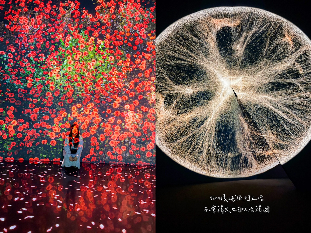 釜山沉浸式多媒體藝術館 Arte Museum門票購買2026 釜山PASS免費景點 @GINA環球旅行生活