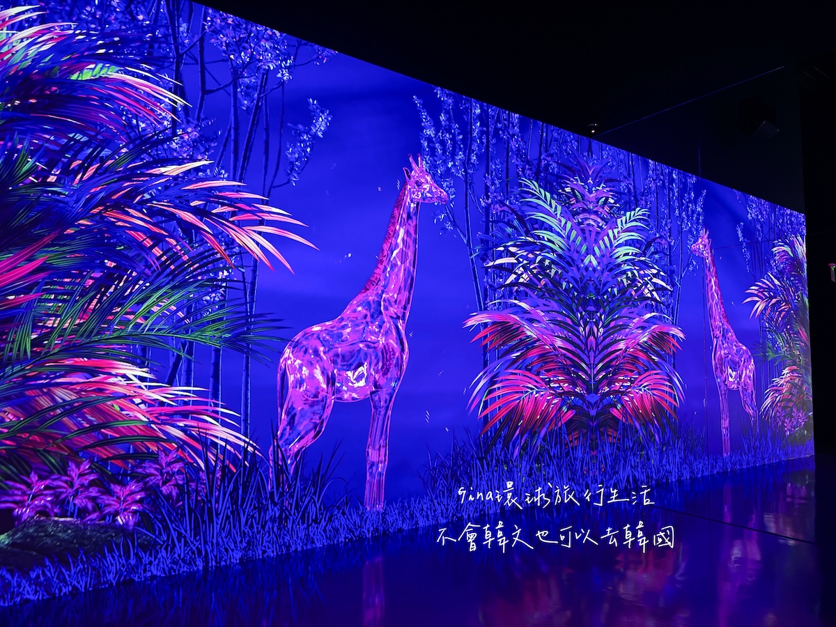 釜山沉浸式多媒體藝術館 Arte Museum門票購買2026 釜山PASS免費景點 @GINA環球旅行生活