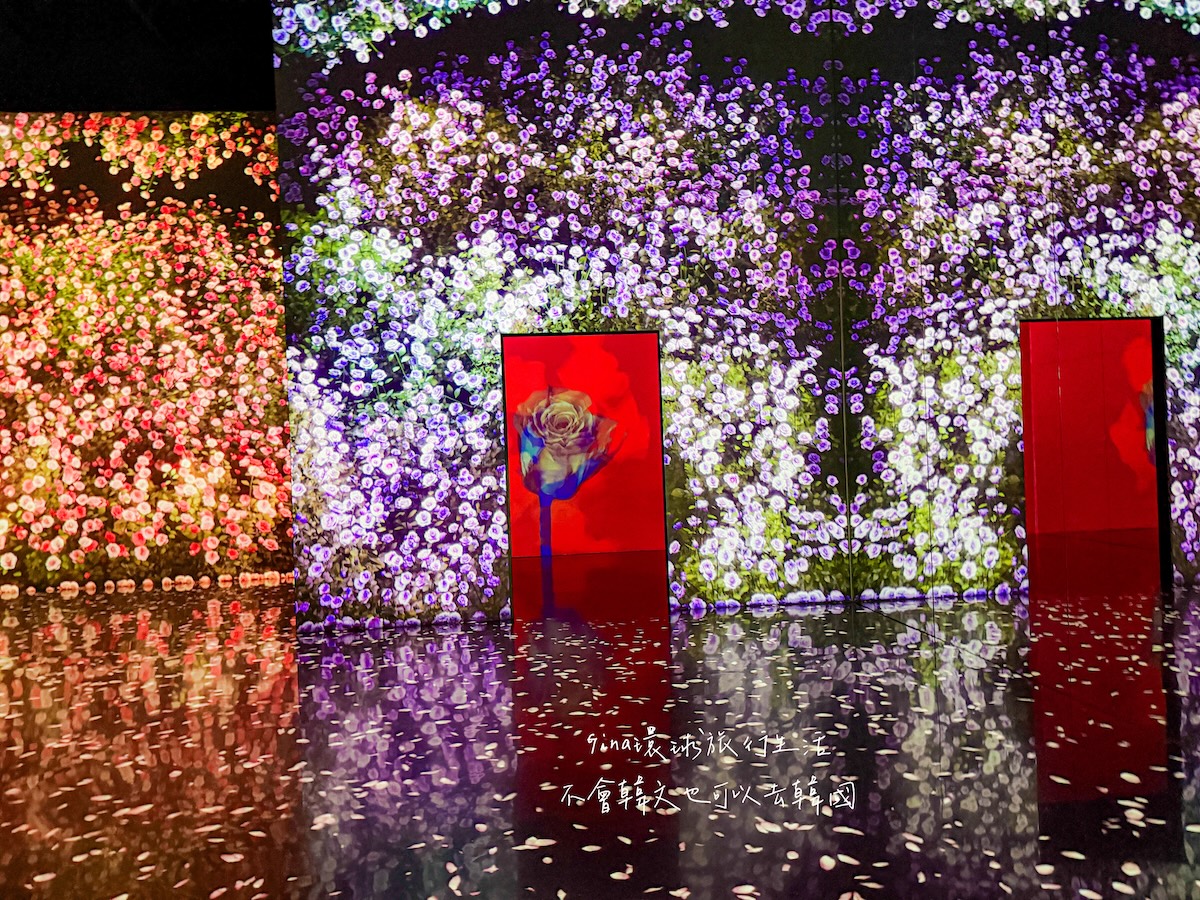 釜山沉浸式多媒體藝術館 Arte Museum門票購買2026 釜山PASS免費景點 @GINA環球旅行生活