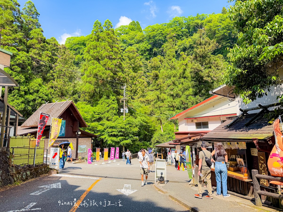 【福岡景點2026】九州 高千穗峽 熊本 宮崎一日遊、上色見熊野座神社、天岩戸神社、天安河原 @GINA環球旅行生活 【福岡景點2026】九州 高千穗峽 熊本 宮崎一日遊、上色見熊野座神社、天岩戸神社、天安河原 @GINA環球旅行生活