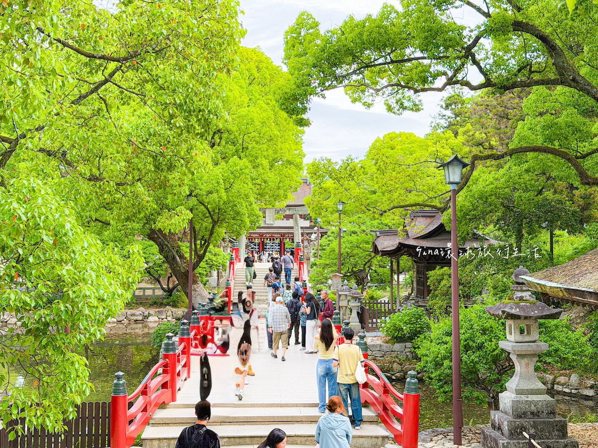 【福岡景點2026】九州大分一日遊 太宰府天滿宮、別府纜車、布院之森觀光列車、湯平街道、金鱗湖、由布院必吃銅鑼燒鞠智Cucuchi @GINA環球旅行生活