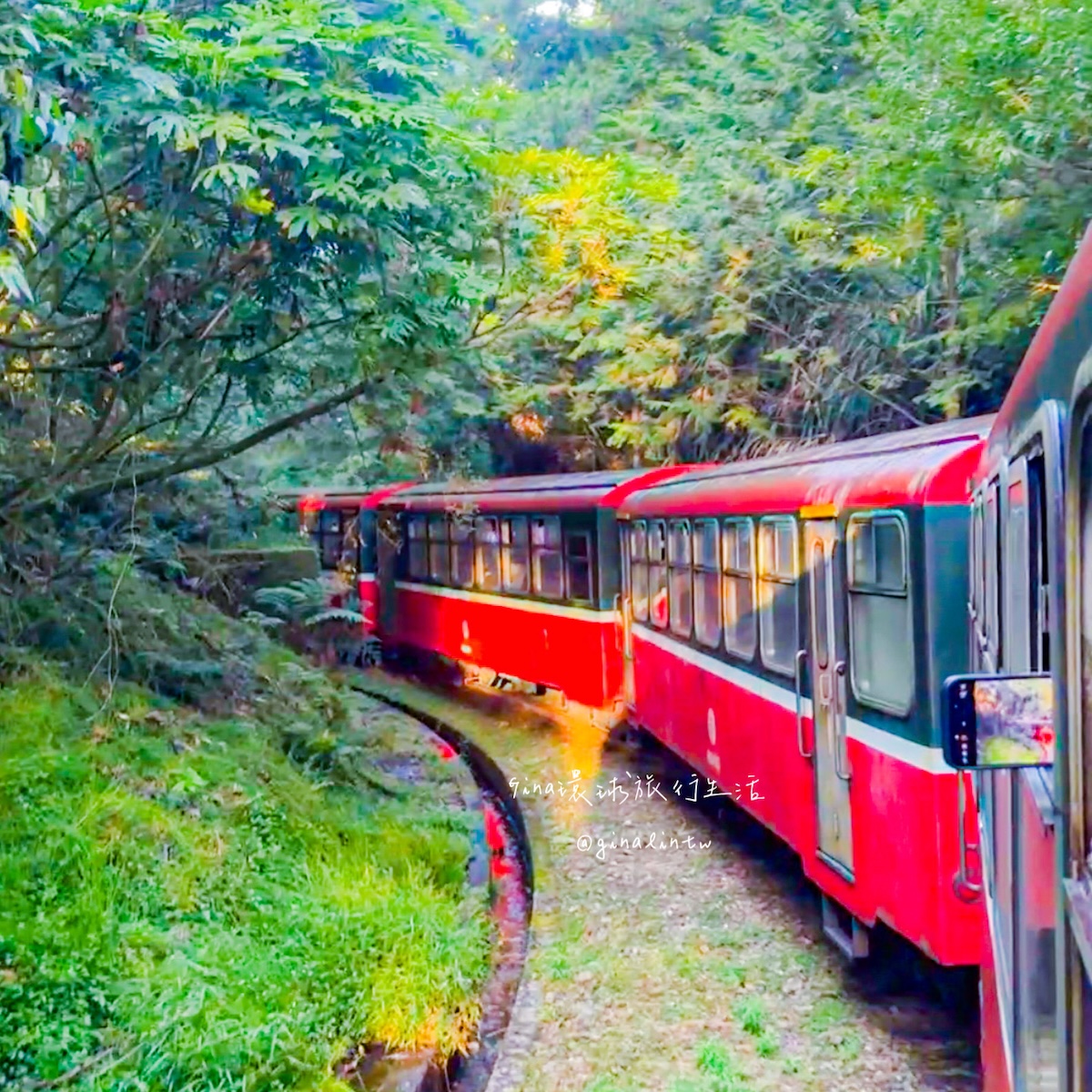 【阿里山日出2026】阿里山日出火車時間 阿里山日出日落雲海 @GINA環球旅行生活