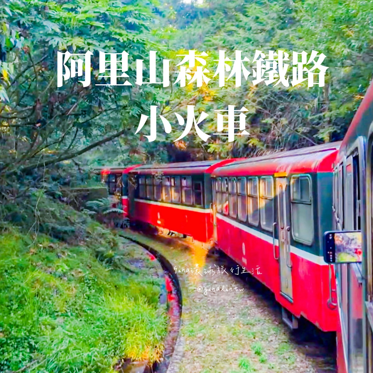 【阿里山日出2026】阿里山日出火車時間 阿里山日出日落雲海 @GINA環球旅行生活