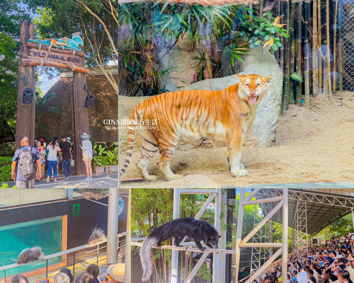 【清邁必去景點2026】清邁夜間動物園門票+接送優惠、野生動物表演時間表 @GINA環球旅行生活 【清邁必去景點2026】清邁夜間動物園門票+接送優惠、野生動物表演時間表 @GINA環球旅行生活