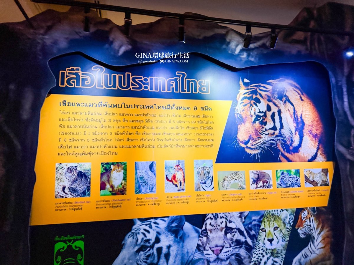 【清邁必去景點2026】清邁夜間動物園門票+接送優惠、野生動物表演時間表 @GINA環球旅行生活 【清邁必去景點2026】清邁夜間動物園門票+接送優惠、野生動物表演時間表 @GINA環球旅行生活