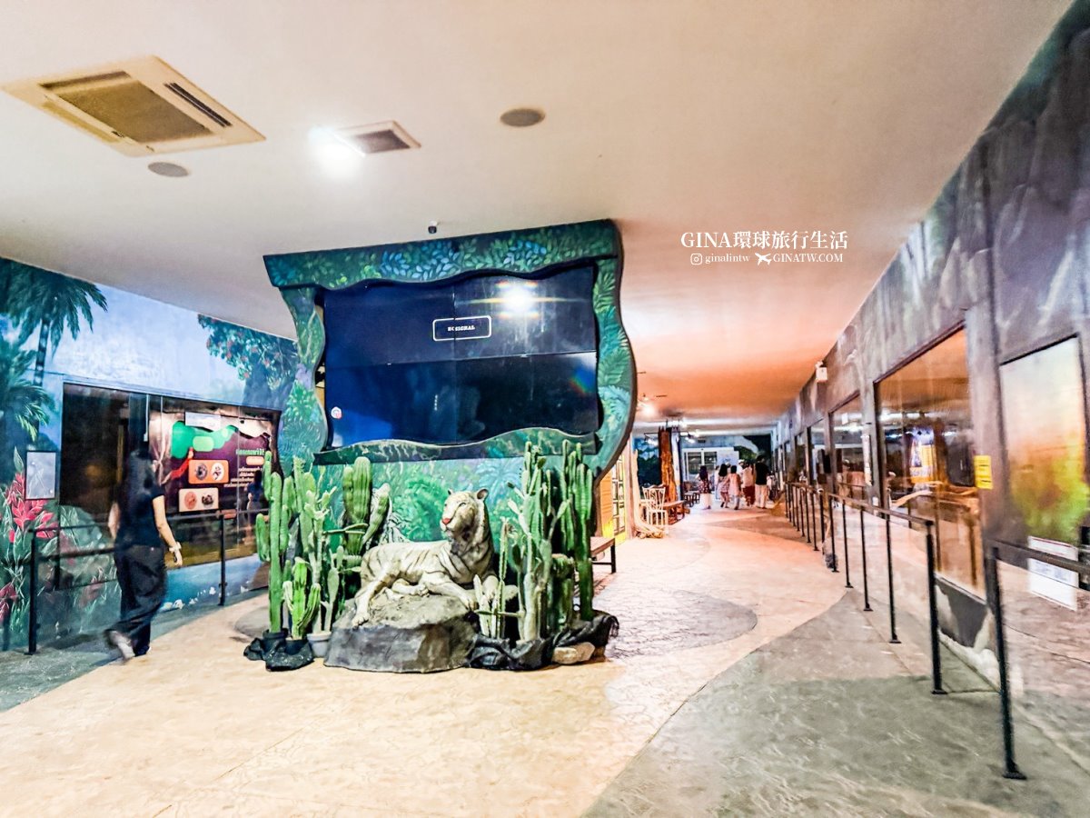 【清邁必去景點2026】清邁夜間動物園門票+接送優惠、野生動物表演時間表 @GINA環球旅行生活 【清邁必去景點2026】清邁夜間動物園門票+接送優惠、野生動物表演時間表 @GINA環球旅行生活
