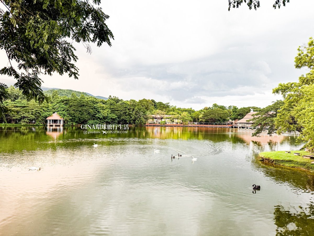 【清邁必去景點2026】清邁夜間動物園門票+接送優惠、野生動物表演時間表 @GINA環球旅行生活 【清邁必去景點2026】清邁夜間動物園門票+接送優惠、野生動物表演時間表 @GINA環球旅行生活
