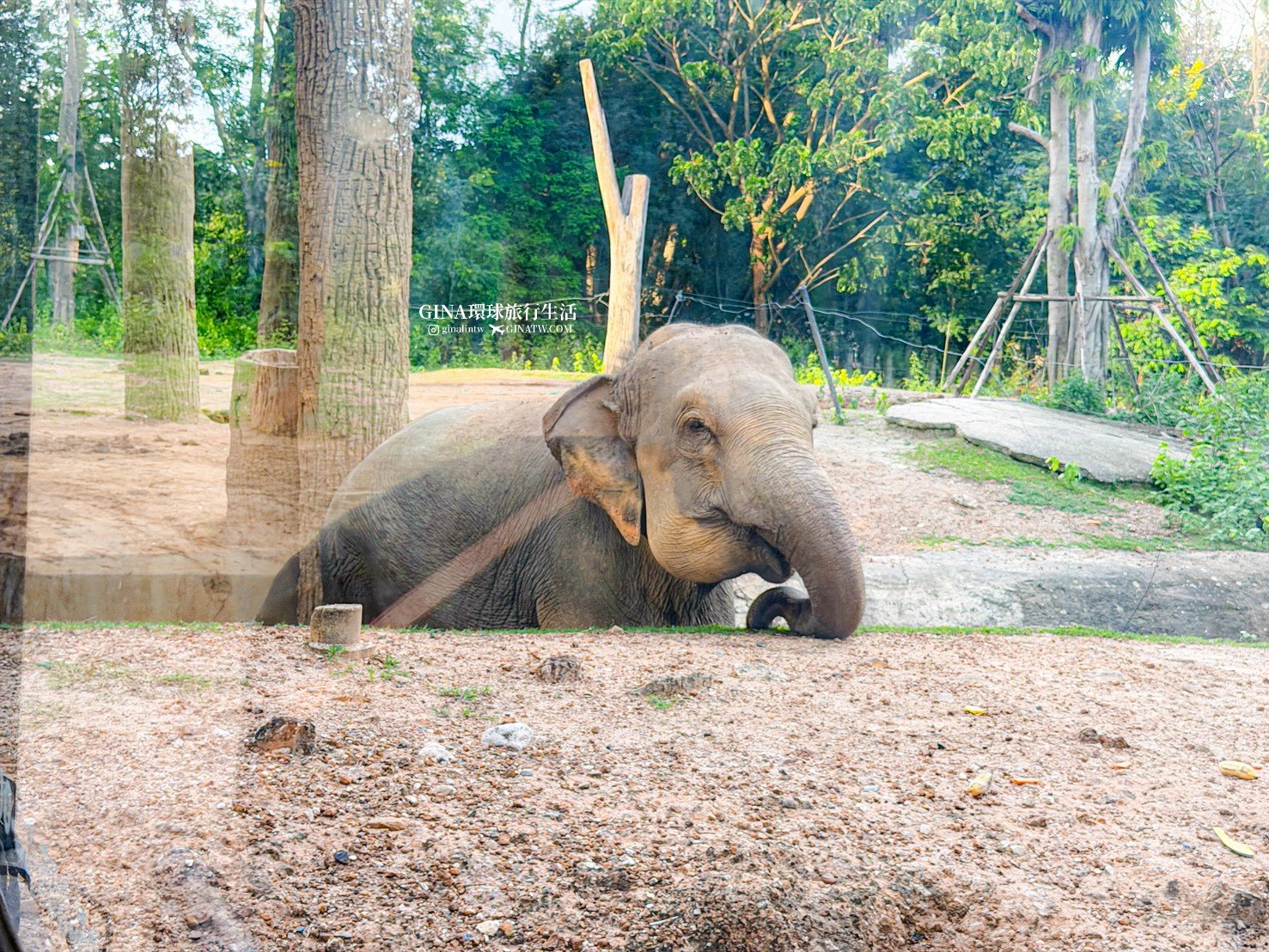 【清邁必去景點2026】清邁夜間動物園門票+接送優惠、野生動物表演時間表 @GINA環球旅行生活 【清邁必去景點2026】清邁夜間動物園門票+接送優惠、野生動物表演時間表 @GINA環球旅行生活