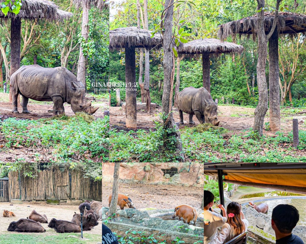 【清邁必去景點2026】清邁夜間動物園門票+接送優惠、野生動物表演時間表 @GINA環球旅行生活 【清邁必去景點2026】清邁夜間動物園門票+接送優惠、野生動物表演時間表 @GINA環球旅行生活