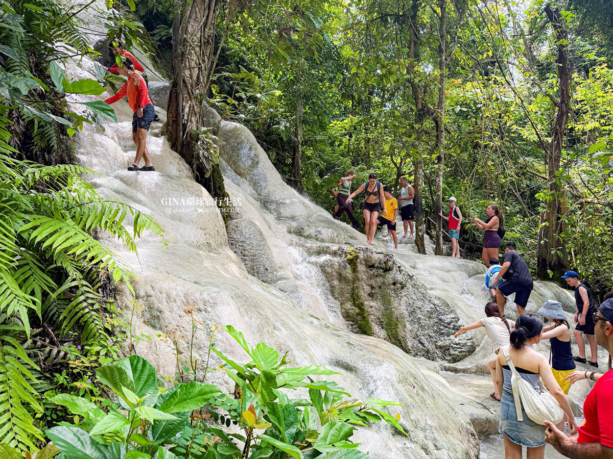 【清邁必去景點2026】黏黏瀑布包車一日遊 Bua Tong Sticky Waterfall 卜阿潼瀑布 @GINA環球旅行生活
