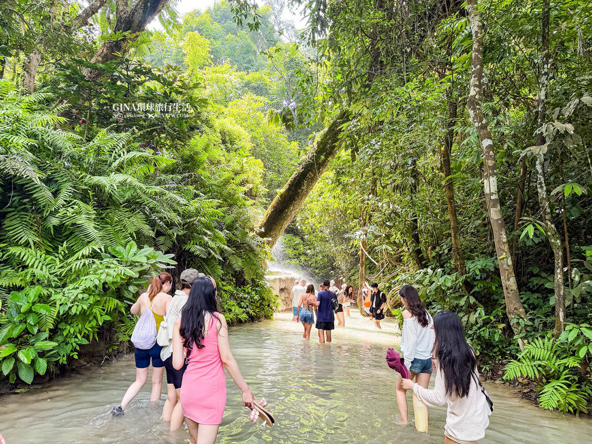 【清邁必去景點2026】黏黏瀑布包車一日遊 Bua Tong Sticky Waterfall 卜阿潼瀑布 @GINA環球旅行生活 【清邁必去景點2026】黏黏瀑布包車一日遊 Bua Tong Sticky Waterfall 卜阿潼瀑布 @GINA環球旅行生活