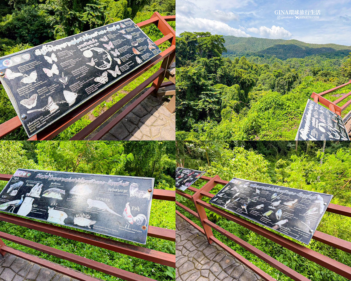 【清邁必去景點2026】黏黏瀑布包車一日遊 Bua Tong Sticky Waterfall 卜阿潼瀑布 @GINA環球旅行生活 【清邁必去景點2026】黏黏瀑布包車一日遊 Bua Tong Sticky Waterfall 卜阿潼瀑布 @GINA環球旅行生活