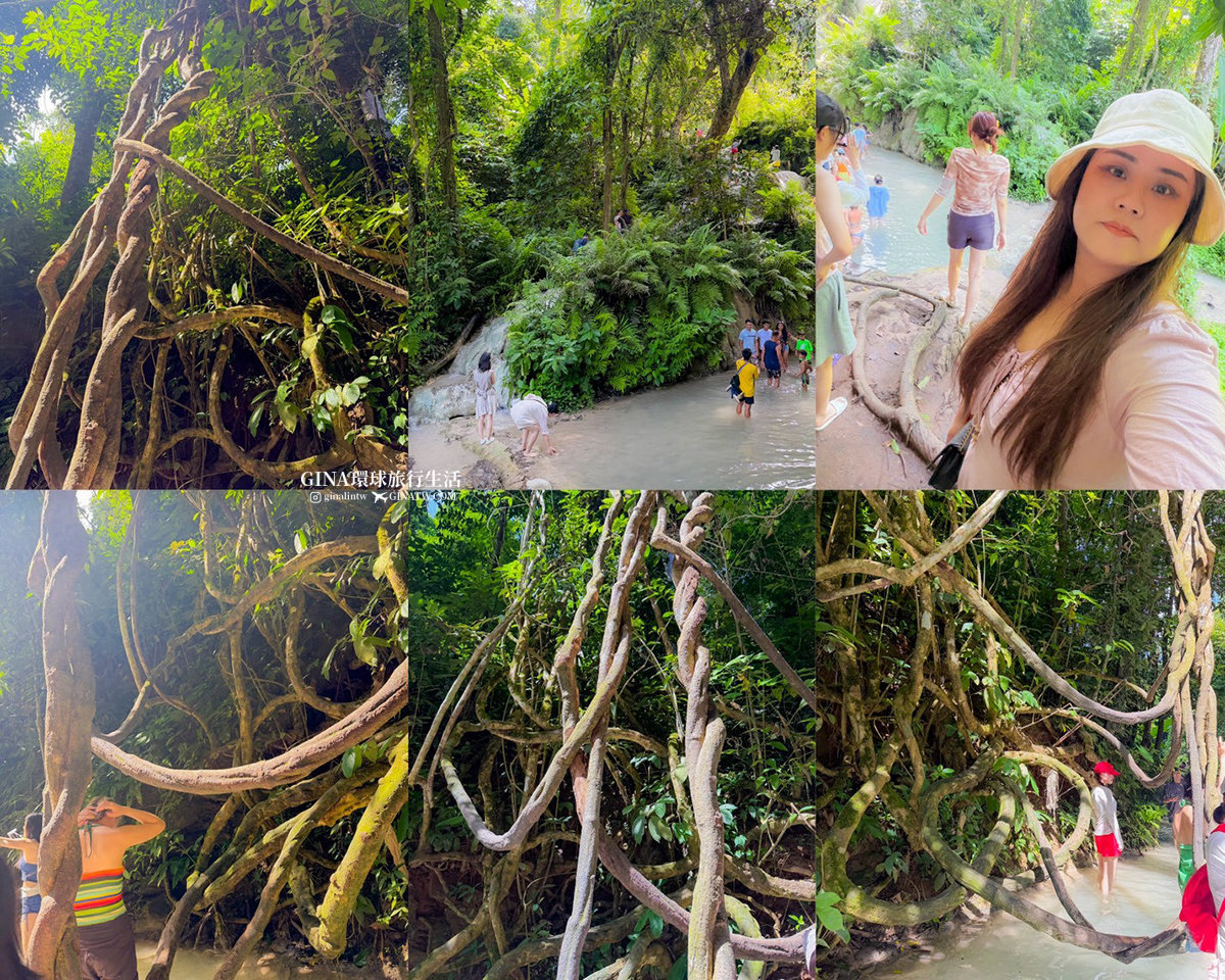 【清邁必去景點2026】黏黏瀑布包車一日遊 Bua Tong Sticky Waterfall 卜阿潼瀑布 @GINA環球旅行生活 【清邁必去景點2026】黏黏瀑布包車一日遊 Bua Tong Sticky Waterfall 卜阿潼瀑布 @GINA環球旅行生活
