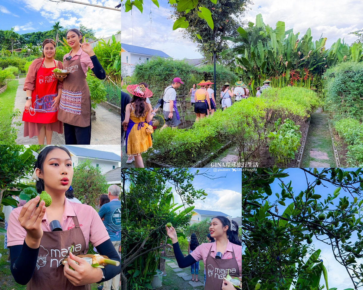 【清邁烹飪課推薦2026】泰國清邁 Mama Noi 泰式料理教室料理課 @GINA環球旅行生活