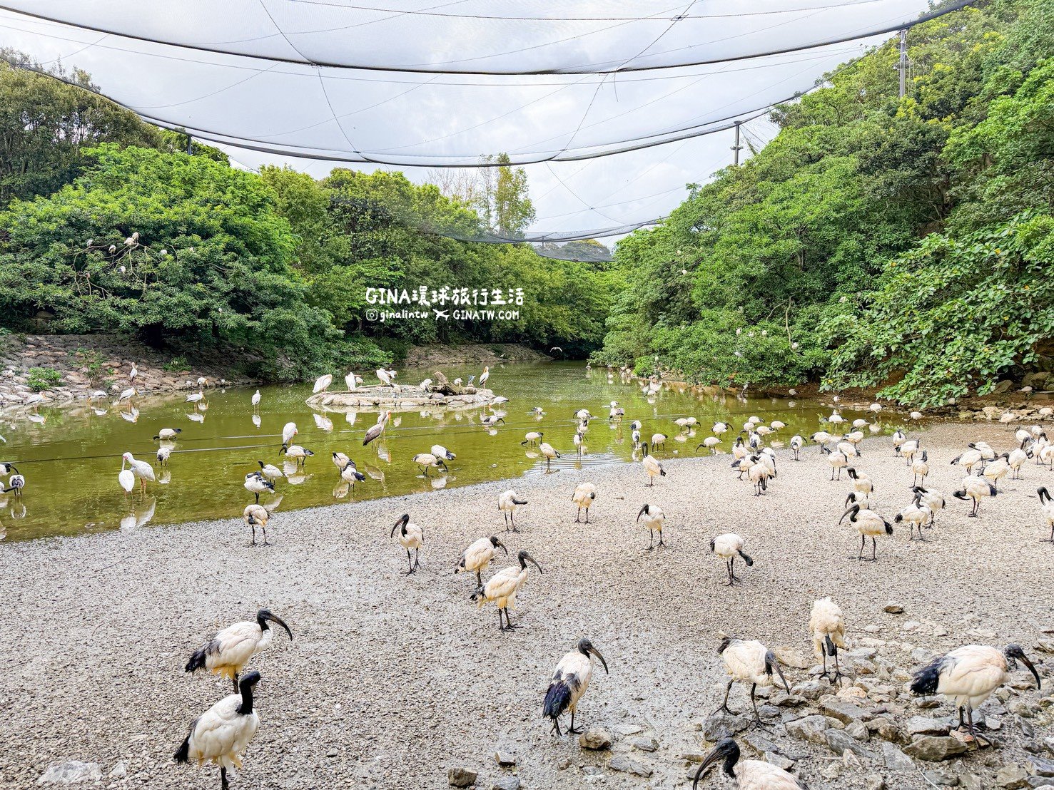 【沖繩景點2026】Neo Park 名護自然動植物公園門票+套票優惠、搭公車巴士交通 @GINA環球旅行生活