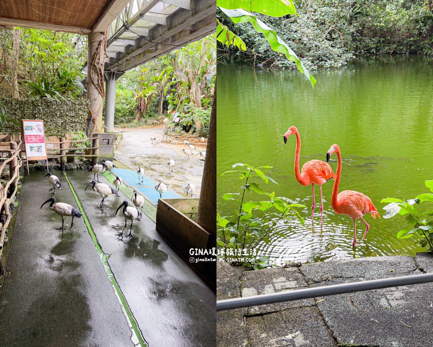 【沖繩景點2026】Neo Park 名護自然動植物公園門票+套票優惠、搭公車巴士交通 @GINA環球旅行生活