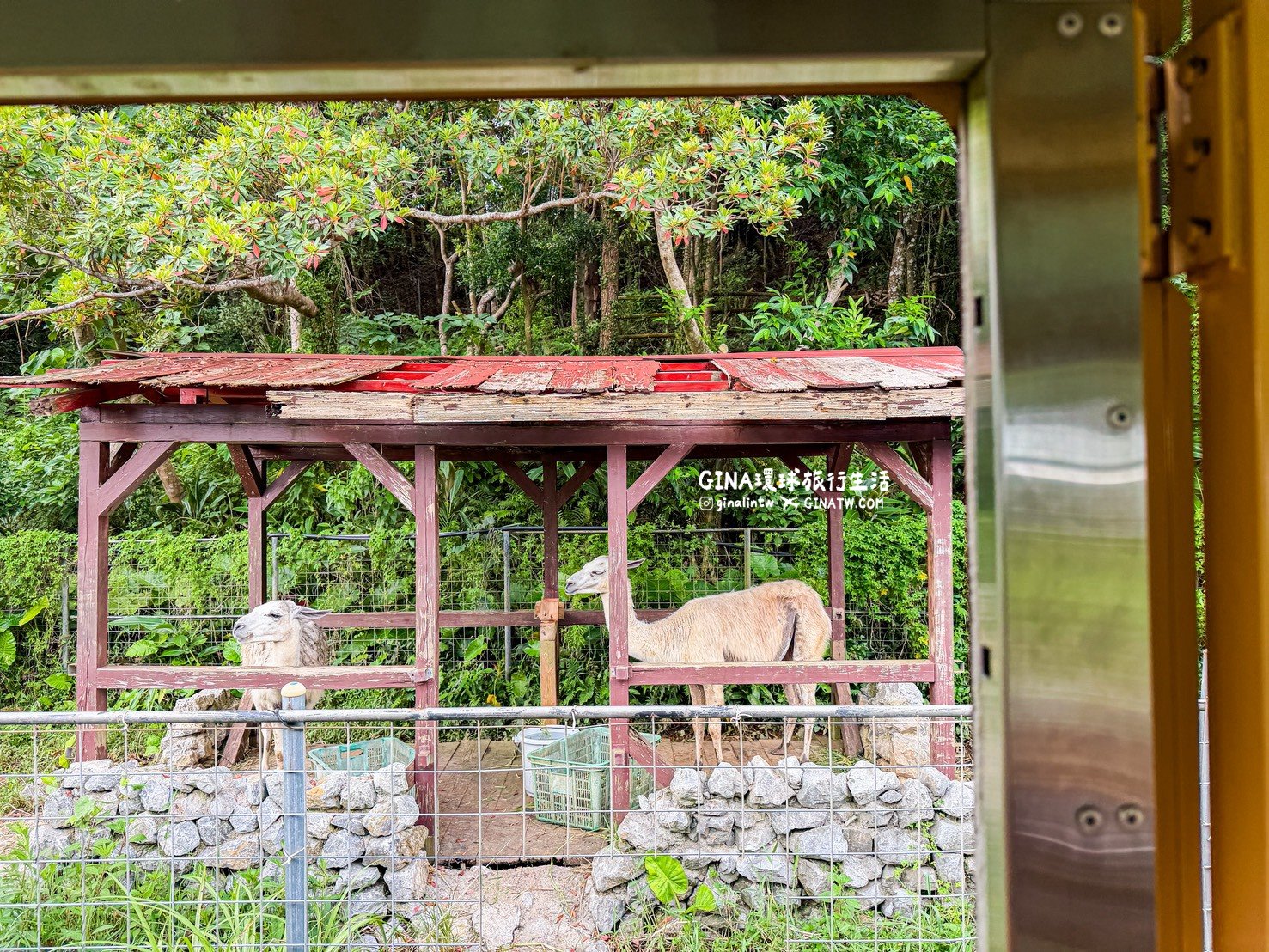 【沖繩景點2026】Neo Park 名護自然動植物公園門票+套票優惠、搭公車巴士交通 @GINA環球旅行生活