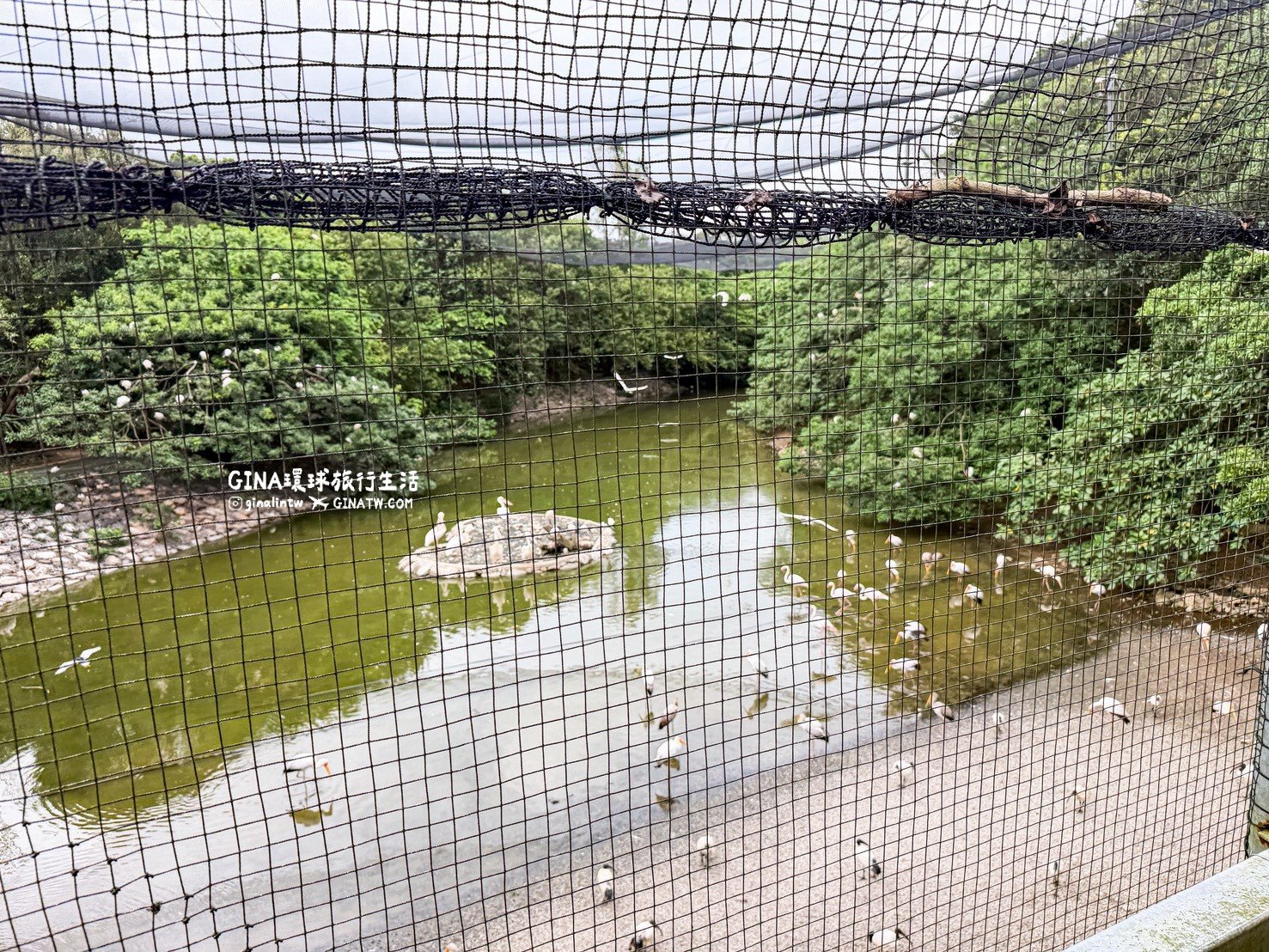 【沖繩景點2026】Neo Park 名護自然動植物公園門票+套票優惠、搭公車巴士交通 @GINA環球旅行生活
