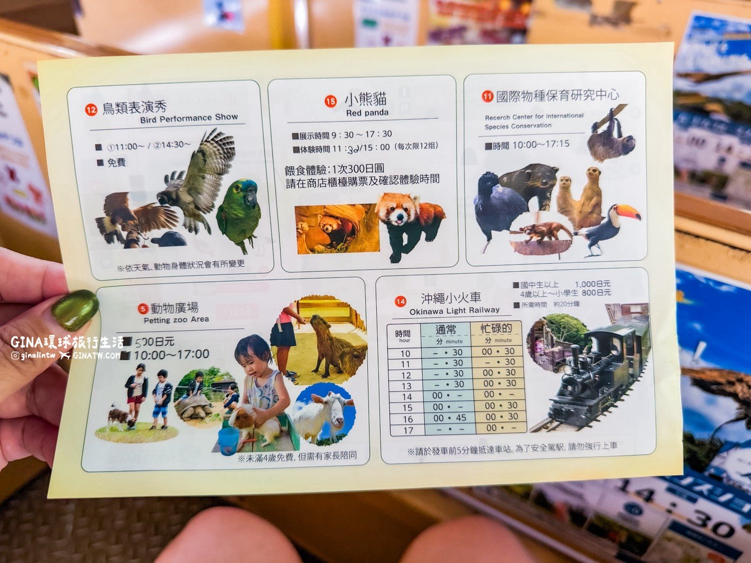【沖繩景點2026】Neo Park 名護自然動植物公園門票+套票優惠、搭公車巴士交通 @GINA環球旅行生活