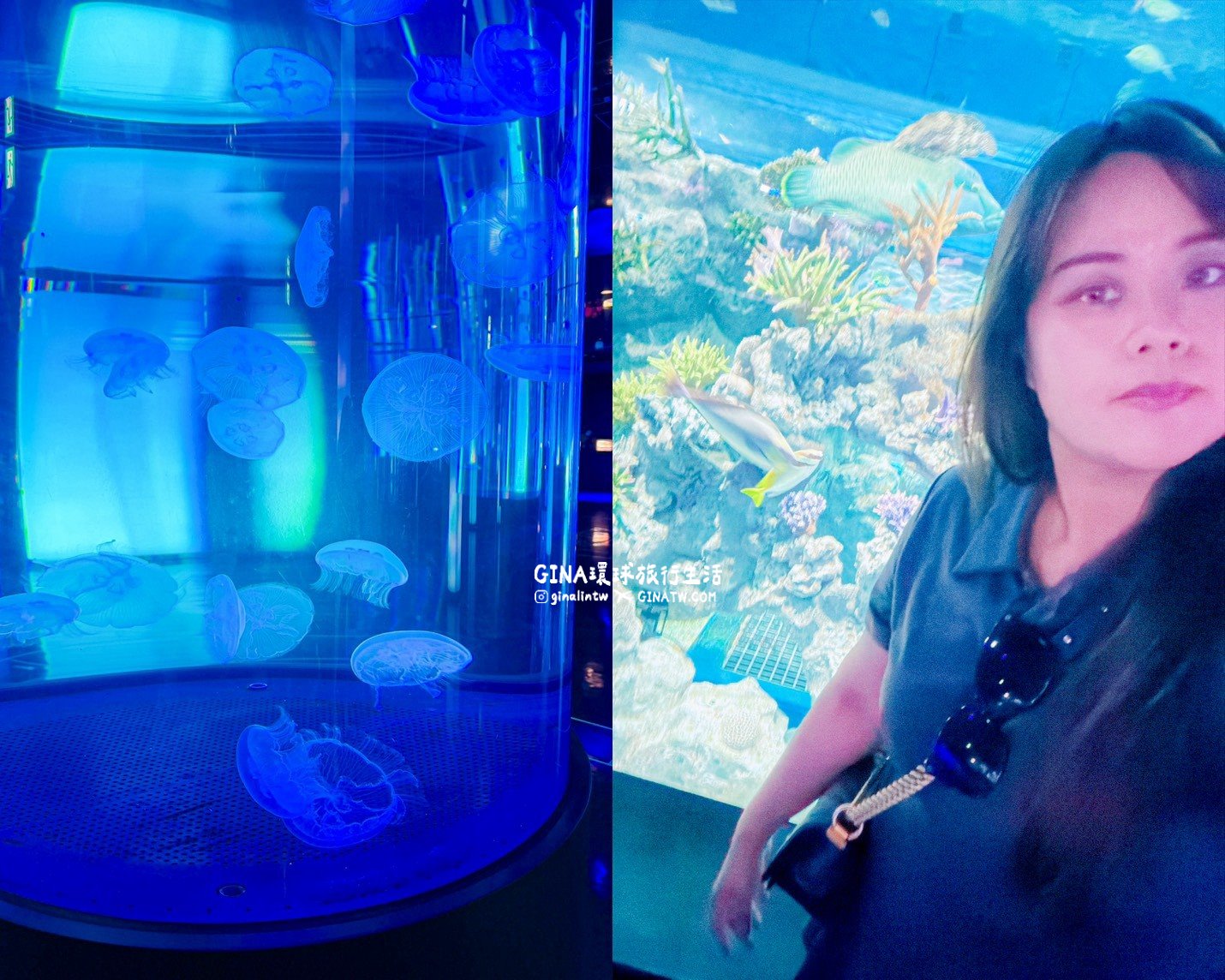 【沖繩樂享週遊券2026】沖繩景點DMM Kariyushi水族館攻略、門票優惠、交通方式 @GINA環球旅行生活 【沖繩樂享週遊券2026】沖繩景點DMM Kariyushi水族館攻略、門票優惠、交通方式 @GINA環球旅行生活