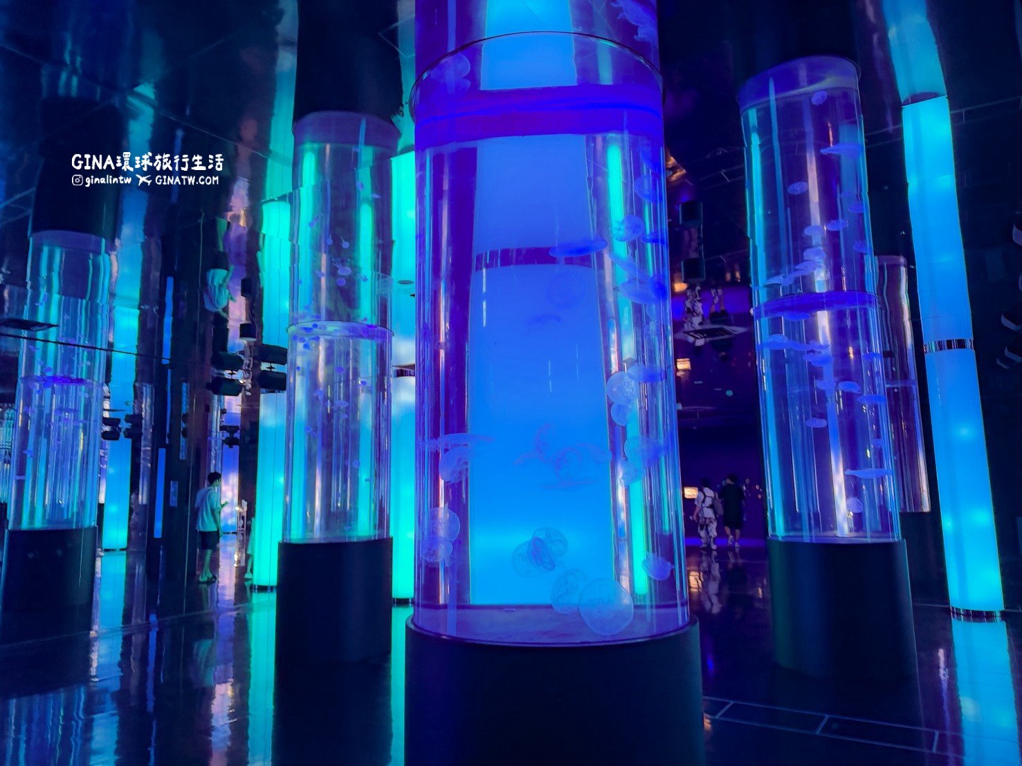 【沖繩樂享週遊券2026】沖繩景點DMM Kariyushi水族館攻略、門票優惠、交通方式 @GINA環球旅行生活