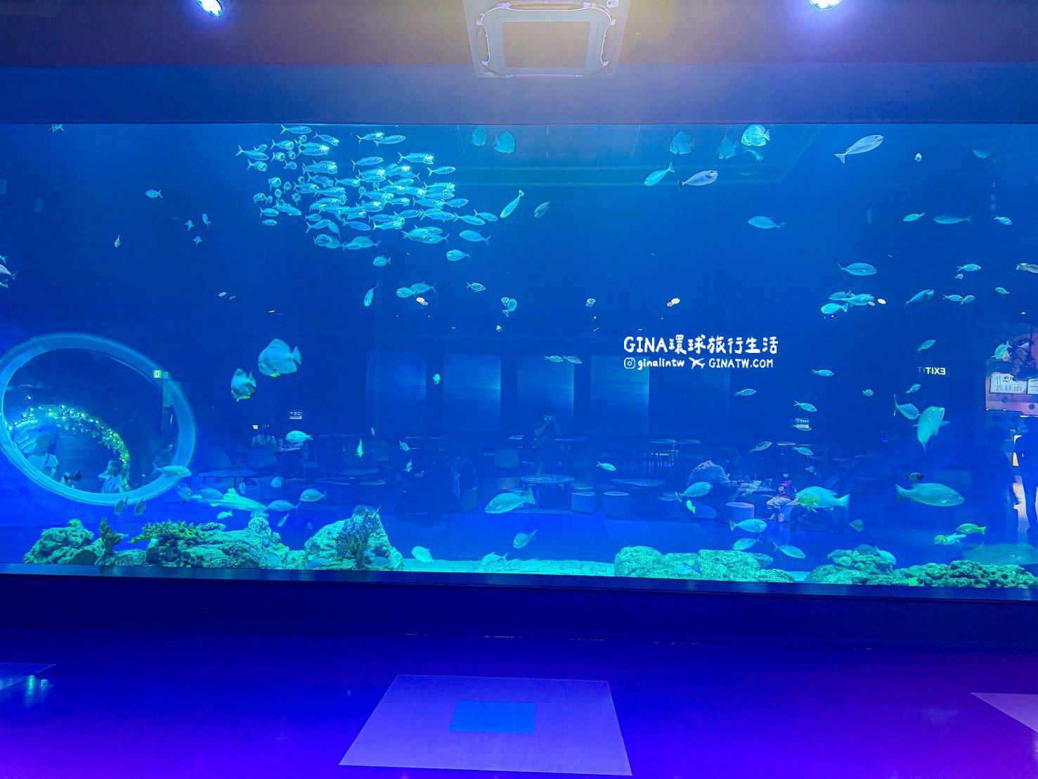 【沖繩樂享週遊券2026】沖繩景點DMM Kariyushi水族館攻略、門票優惠、交通方式 @GINA環球旅行生活 【沖繩樂享週遊券2026】沖繩景點DMM Kariyushi水族館攻略、門票優惠、交通方式 @GINA環球旅行生活