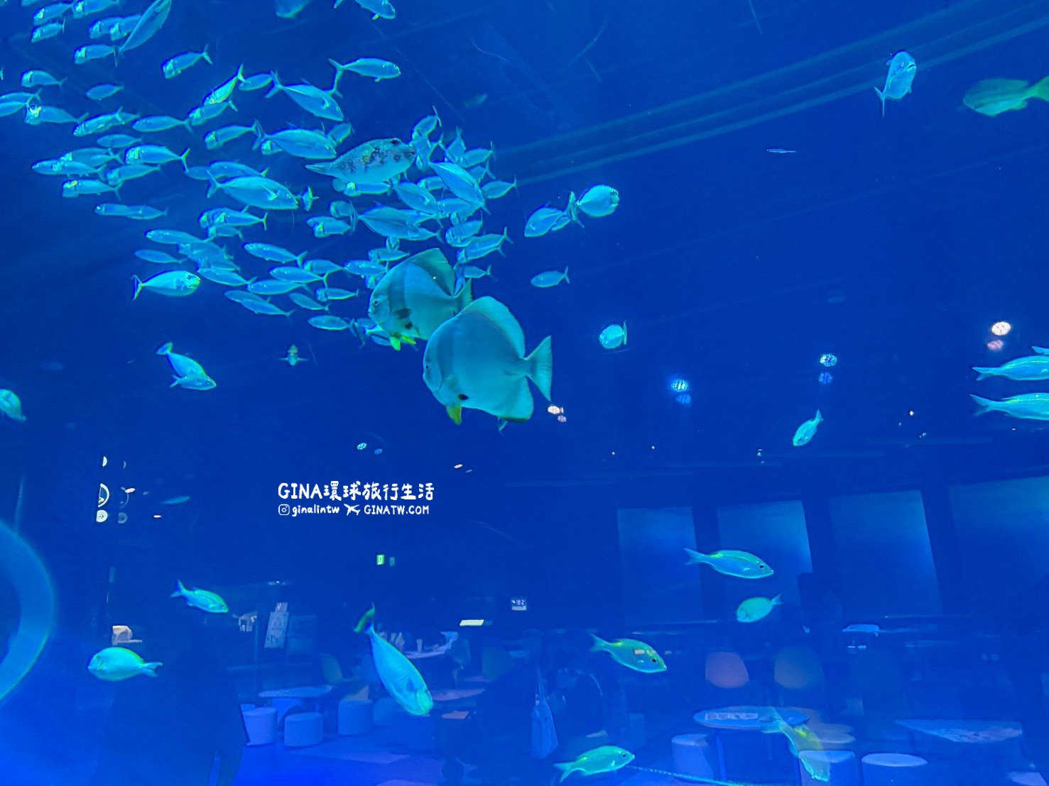 【沖繩樂享週遊券2026】沖繩景點DMM Kariyushi水族館攻略、門票優惠、交通方式 @GINA環球旅行生活