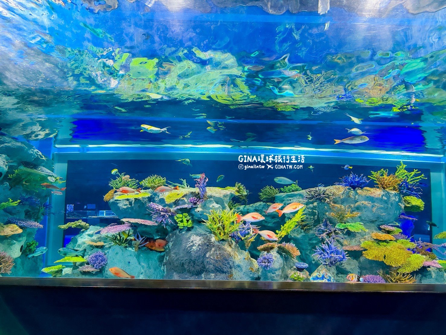【沖繩樂享週遊券2026】沖繩景點DMM Kariyushi水族館攻略、門票優惠、交通方式 @GINA環球旅行生活 【沖繩樂享週遊券2026】沖繩景點DMM Kariyushi水族館攻略、門票優惠、交通方式 @GINA環球旅行生活