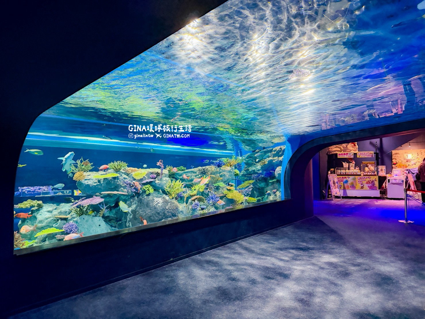 【沖繩樂享週遊券2026】沖繩景點DMM Kariyushi水族館攻略、門票優惠、交通方式 @GINA環球旅行生活 【沖繩樂享週遊券2026】沖繩景點DMM Kariyushi水族館攻略、門票優惠、交通方式 @GINA環球旅行生活