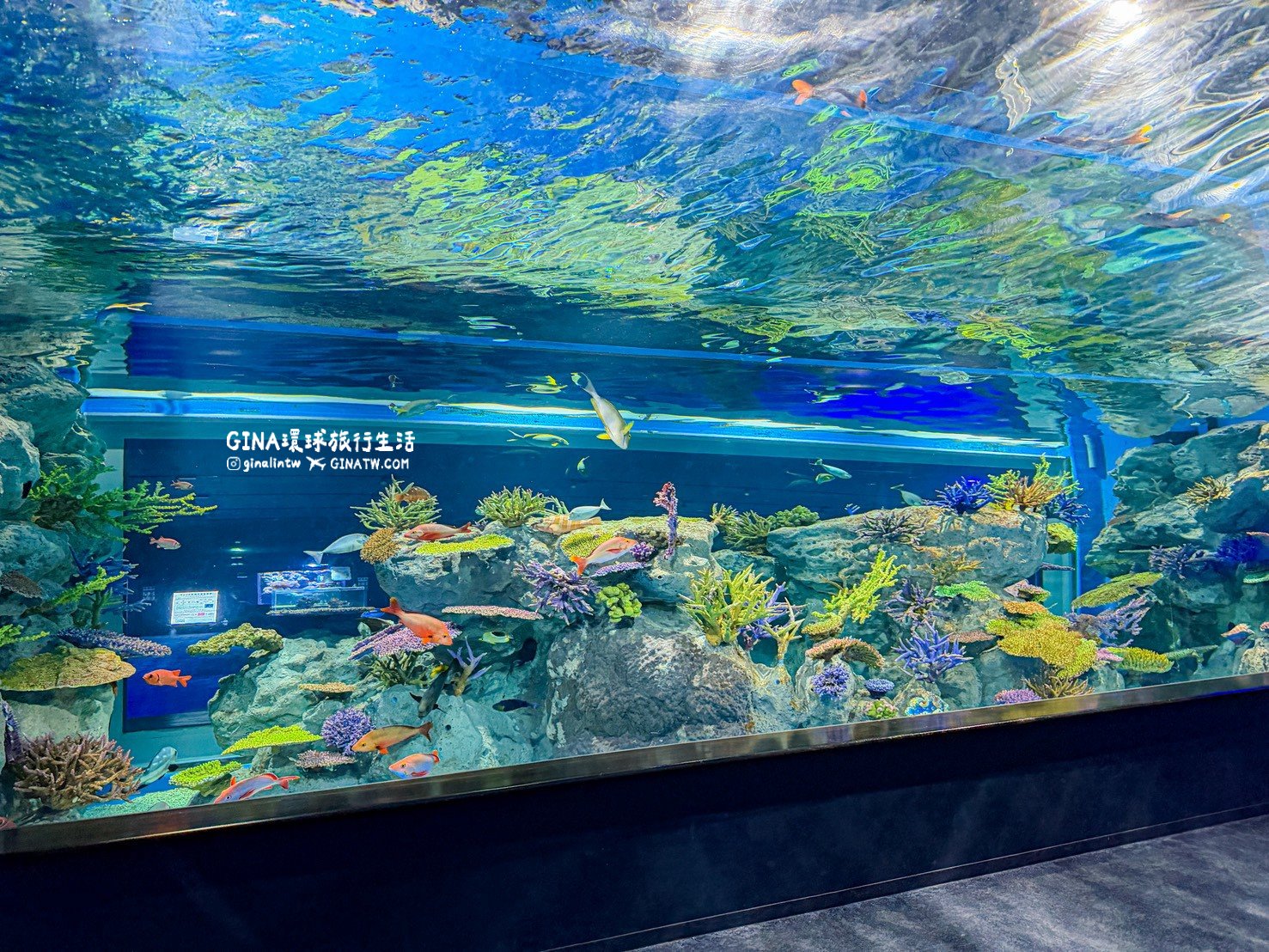 【沖繩樂享週遊券2026】沖繩景點DMM Kariyushi水族館攻略、門票優惠、交通方式 @GINA環球旅行生活 【沖繩樂享週遊券2026】沖繩景點DMM Kariyushi水族館攻略、門票優惠、交通方式 @GINA環球旅行生活