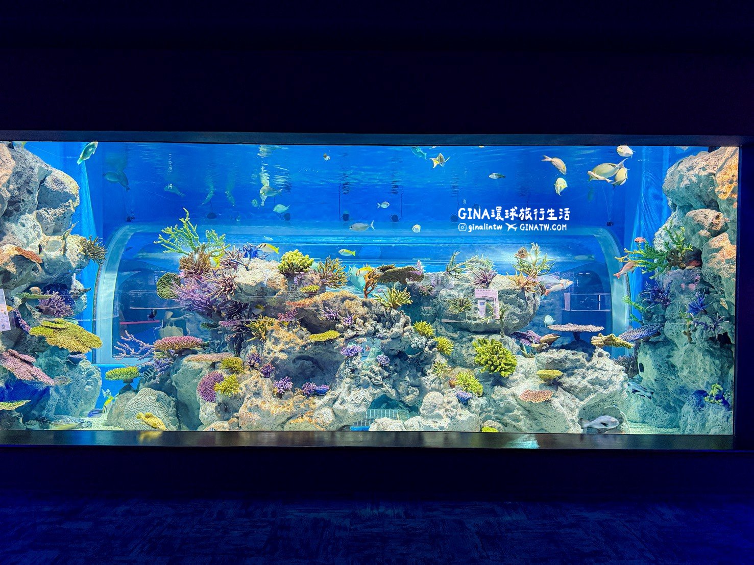 【沖繩樂享週遊券2026】沖繩景點DMM Kariyushi水族館攻略、門票優惠、交通方式 @GINA環球旅行生活 【沖繩樂享週遊券2026】沖繩景點DMM Kariyushi水族館攻略、門票優惠、交通方式 @GINA環球旅行生活