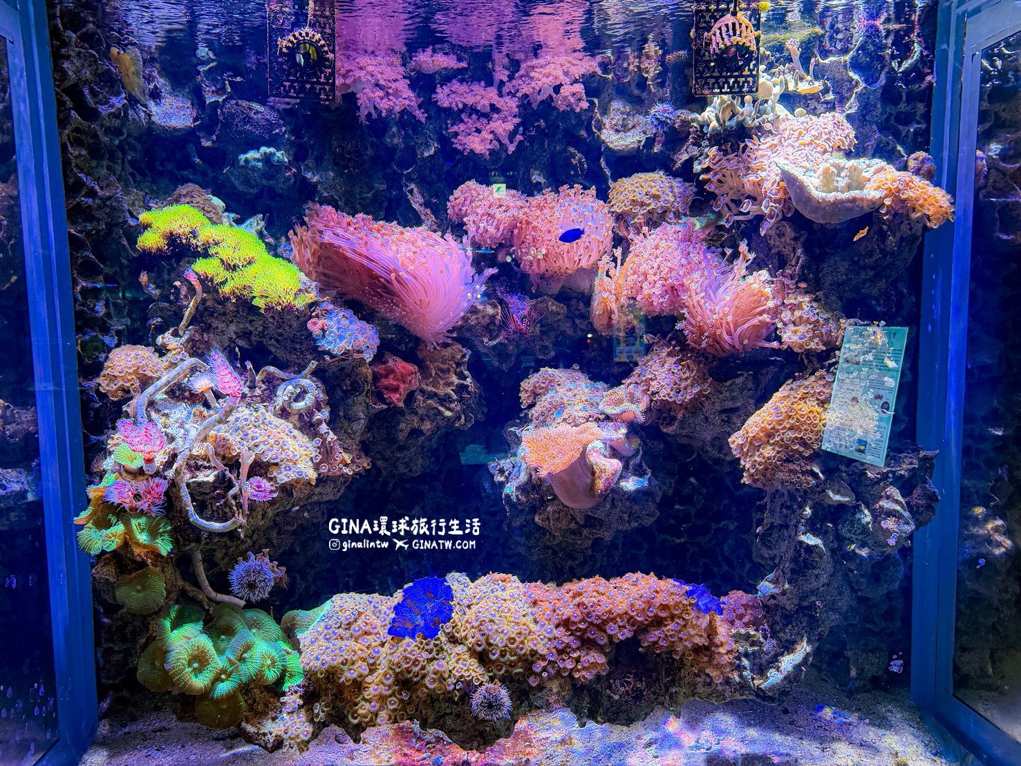 【沖繩樂享週遊券2026】沖繩景點DMM Kariyushi水族館攻略、門票優惠、交通方式 @GINA環球旅行生活 【沖繩樂享週遊券2026】沖繩景點DMM Kariyushi水族館攻略、門票優惠、交通方式 @GINA環球旅行生活