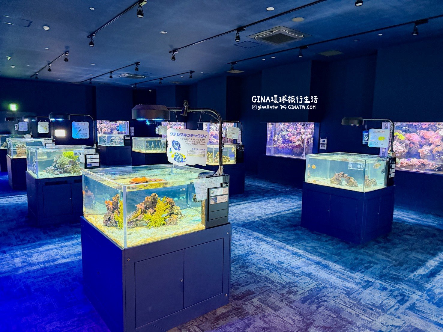 【沖繩樂享週遊券2026】沖繩景點DMM Kariyushi水族館攻略、門票優惠、交通方式 @GINA環球旅行生活 【沖繩樂享週遊券2026】沖繩景點DMM Kariyushi水族館攻略、門票優惠、交通方式 @GINA環球旅行生活