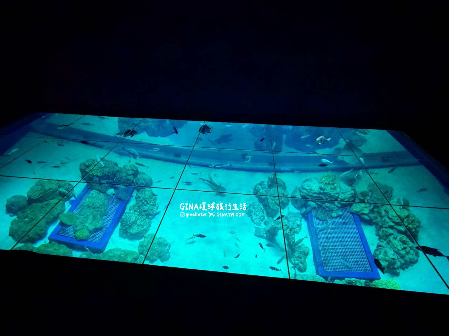 【沖繩樂享週遊券2026】沖繩景點DMM Kariyushi水族館攻略、門票優惠、交通方式 @GINA環球旅行生活 【沖繩樂享週遊券2026】沖繩景點DMM Kariyushi水族館攻略、門票優惠、交通方式 @GINA環球旅行生活