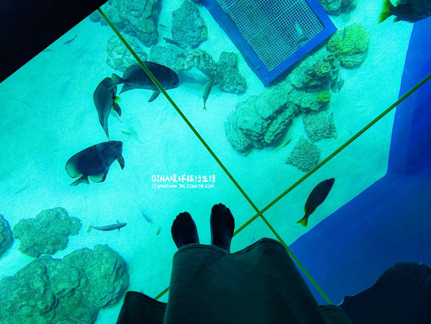 【沖繩樂享週遊券2026】沖繩景點DMM Kariyushi水族館攻略、門票優惠、交通方式 @GINA環球旅行生活