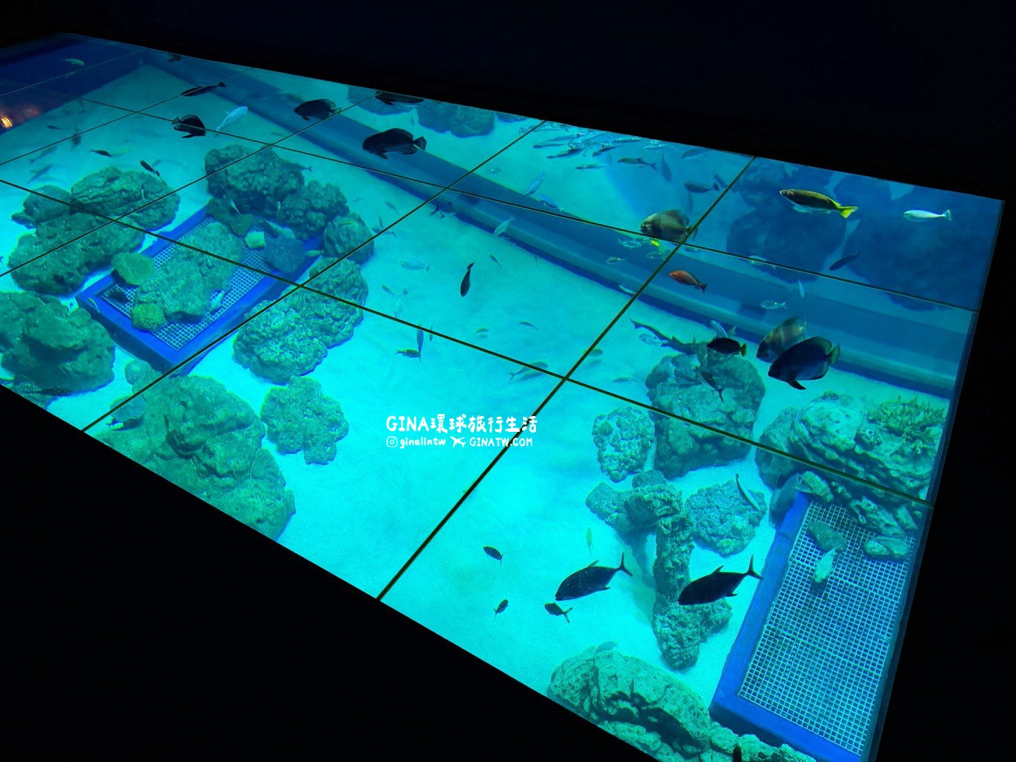 【沖繩樂享週遊券2026】沖繩景點DMM Kariyushi水族館攻略、門票優惠、交通方式 @GINA環球旅行生活 【沖繩樂享週遊券2026】沖繩景點DMM Kariyushi水族館攻略、門票優惠、交通方式 @GINA環球旅行生活