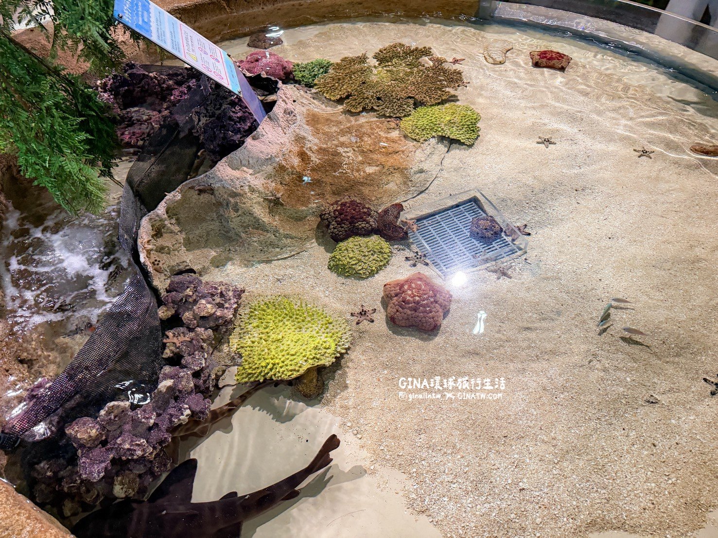 【沖繩樂享週遊券2026】沖繩景點DMM Kariyushi水族館攻略、門票優惠、交通方式 @GINA環球旅行生活